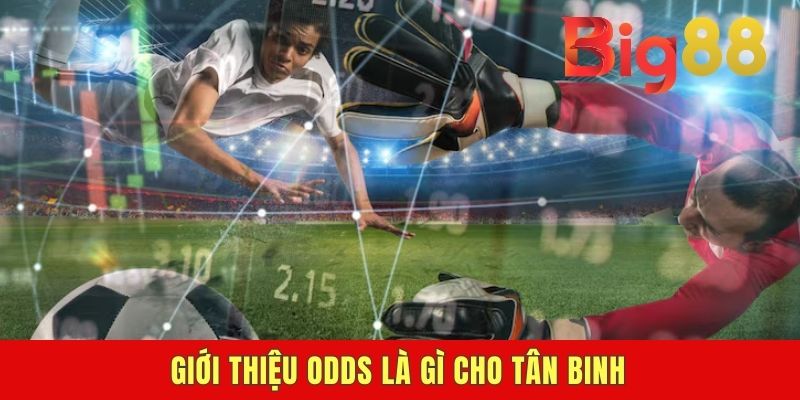Giới thiệu odds là gì cho tân binh